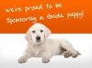 Guide Dog Image